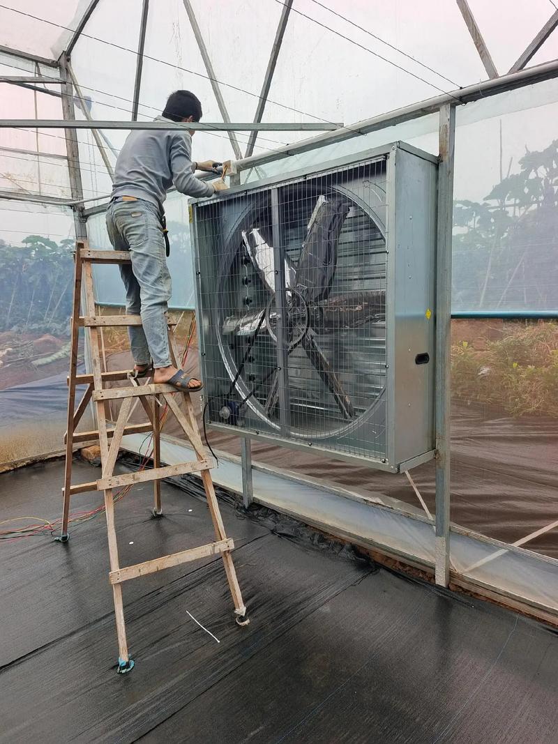 大棚水暖電升級 高效三箱電風機為恒溫與節(jié)能保駕護航
